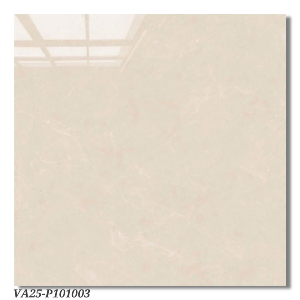 Gạch 100x100 Viglacera VA25 P101003