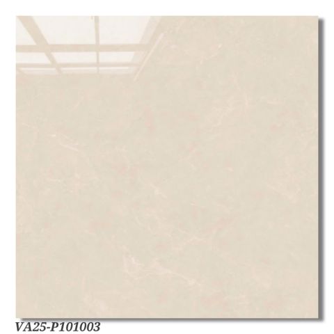 Gạch 100x100 Viglacera VA25 P101003