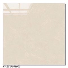 Gạch 100x100 Viglacera VA25 P101003