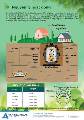Bồn tự hoại Tân Á Đại Thành-TÂN Á