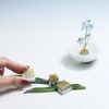 Bộ 4 Bàn Chông Mini Cắm Hoa Ikebana - Ishizaki φ23 - 24×24mm (940)