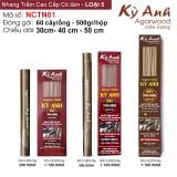  Nhang Trầm Hương NCTN01 
