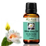  Tinh Dầu Hoa Sen Trắng-  WHITE LOTUS ESSENTIAL OIL TD0036 