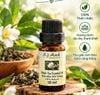  Tinh Dầu Trà Trắng Nguyên Chất – White Tea Essential Oil TD0037 