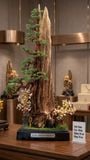  Cây Trầm Hương Bonsai Nghệ Thuật Nguyên Khối Việt Nam – Tuyệt Tác Trang Trí Phong Thủy Cao Cấp 