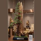  Cây Trầm Hương Bonsai Nghệ Thuật Nguyên Khối Việt Nam – Tuyệt Tác Trang Trí Phong Thủy Cao Cấp 