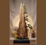  Cây Trầm Hương Bonsai Nghệ Thuật Nguyên Khối Việt Nam – Tuyệt Tác Trang Trí Phong Thủy Cao Cấp 