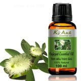  TINH DẦU TRÀM GIÓ – Cajeput Essential Oil TD0039 