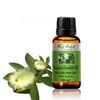  TINH DẦU TRÀM GIÓ – Cajeput Essential Oil TD0039 