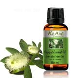  TINH DẦU TRÀM GIÓ – Cajeput Essential Oil TD0039 