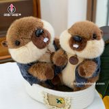  [NEW] GẤU BÔNG CHUỘT NÂU - chipchipshop 