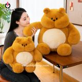  [NEW] GẤU BÔNG GẤU VÀNG MẶT BỰ - chipchipshop 