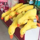  [HOT] GẤU BÔNG VỊT VÀNG NẰM - Chipchipshop 