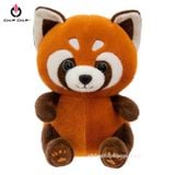  [NEW] GẤU BÔNG SÓC NÂU - chipchipshop 