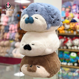  [NEW] GẤU BÔNG HẢI CẨU MẬP Ú - Chipchipshop 