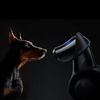  Chó thông minh Xiaomi CyberDog 2 | Trí tuệ nhân tạo, siêu cảm biến & bộ cơ khí động lực truyền động CyberGear 
