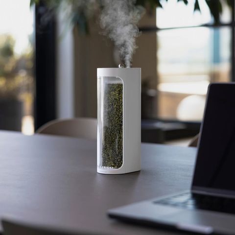  Máy Tạo Ẩm Lọc Không Khí Moss Air MOSSLAB – Sử Dụng Rêu Sống Tự Nhiên, Thiết Kế Terrarium 