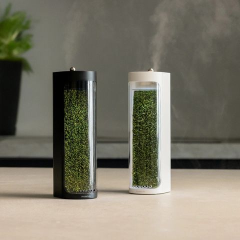  Máy Tạo Ẩm Lọc Không Khí Moss Air MOSSLAB – Sử Dụng Rêu Sống Tự Nhiên, Thiết Kế Terrarium 