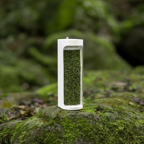  Máy Tạo Ẩm Lọc Không Khí Moss Air MOSSLAB – Sử Dụng Rêu Sống Tự Nhiên, Thiết Kế Terrarium 