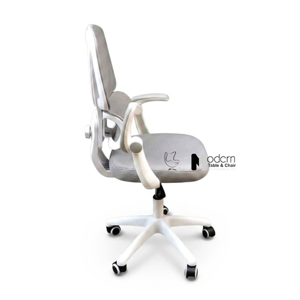Ghế lưới học bài chống gù lưng CE03004-M