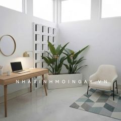 Tiểu cảnh thiên điểu giả trang trí