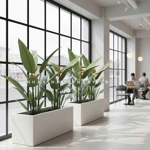 Tiểu cảnh thiên điểu giả trang trí