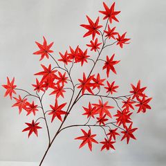 Cây phong giả lá đỏ Nhật Bản