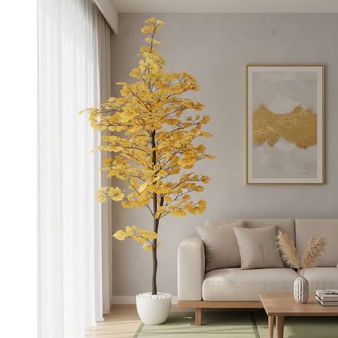 Cây bạch quả lá vàng trang trí cao 180 cm