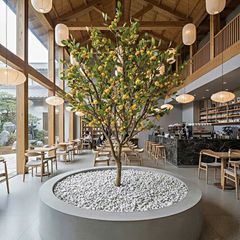 Cây chanh vàng giả trang trí cao 250 cm