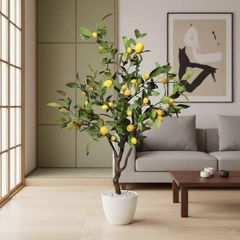 Cây chanh giả trang trí