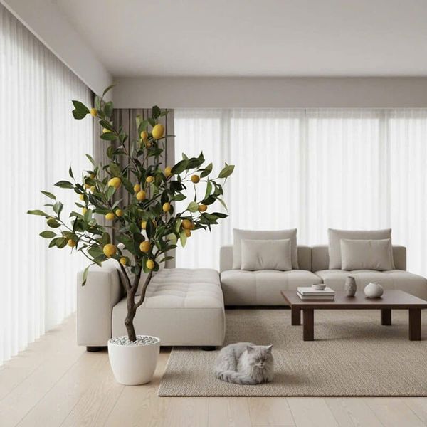 Cây chanh giả trang trí