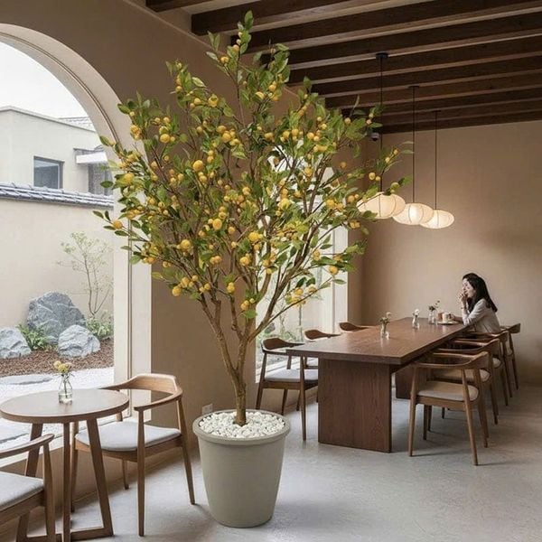 Cây chanh vàng giả trang trí cao 250 cm