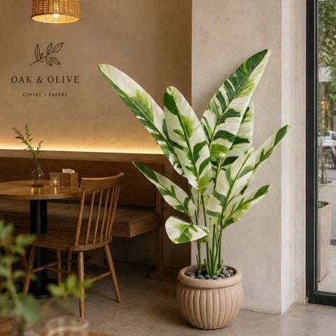 Cây chuối cẩm thạch giả trang trí
