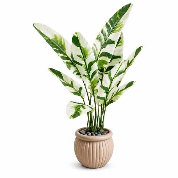 Cây chuối cẩm thạch giả trang trí