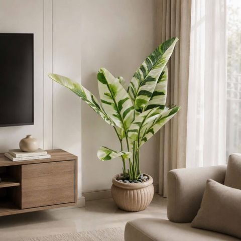 Cây chuối cẩm thạch giả trang trí