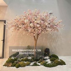 Cây hoa anh đào giả thân gỗ cao 3m
