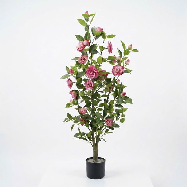 Chậu cây hoa hồng trà camellia giả