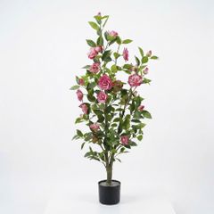 Chậu cây hoa hồng trà camellia giả
