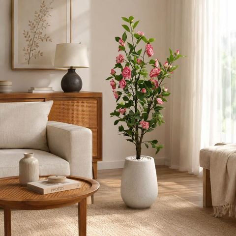 Chậu cây hoa hồng trà camellia giả