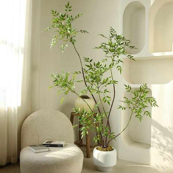 cây nandina giả trang trí