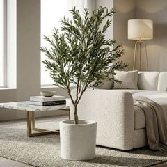 Cây ô liu giả cao 180 cm - thân nhựa tháo lắp linh hoạt