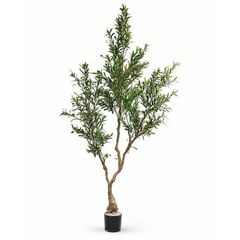 Cây ô liu giả 3 nhánh cao 250cm thân nhựa
