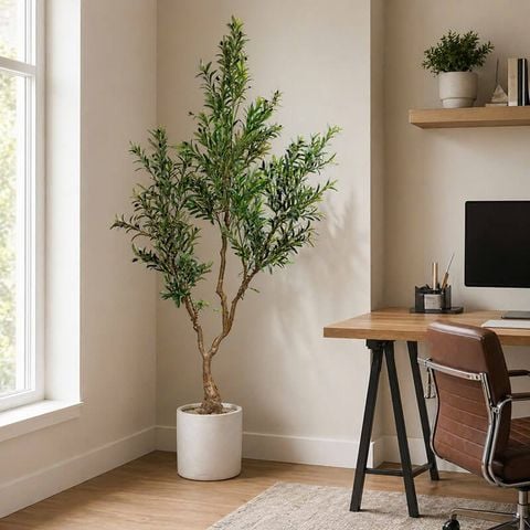 Cây olive giả cao 250cm dáng tự nhiên trang trí nội thất