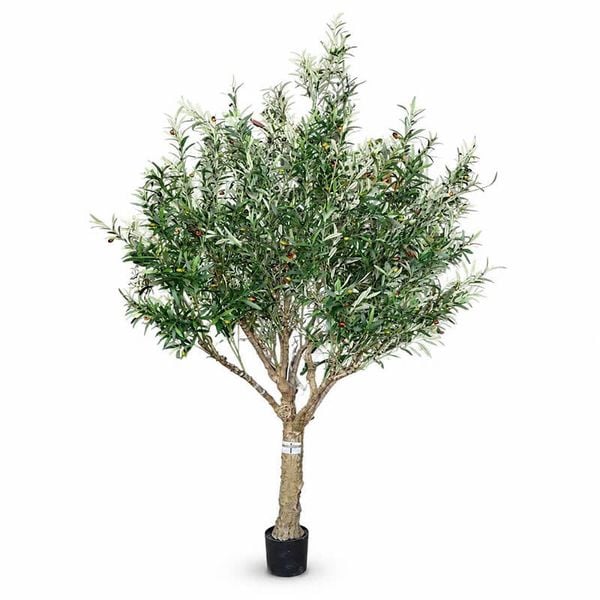 Cây ô liu giả cao 290 cm trang trí nội thất cao cấp