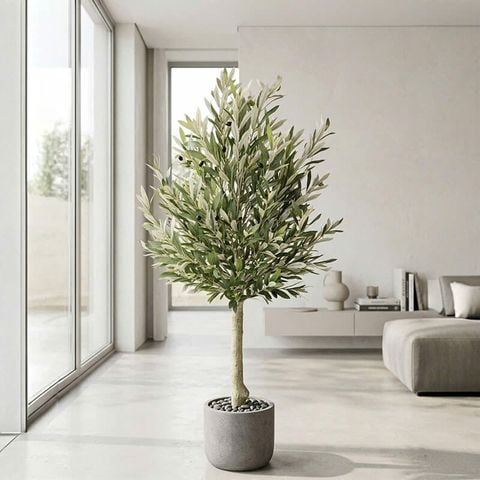 Cây ô liu giả dáng tree tán tròn nhiều lá trang trí nội thất
