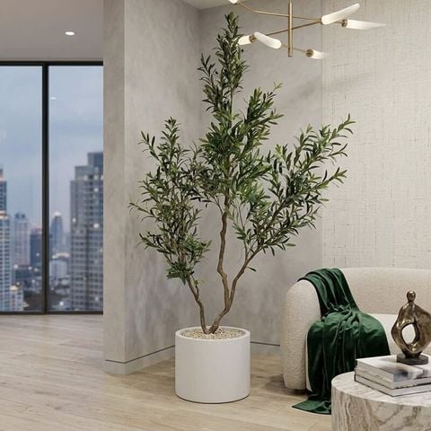 Cây ô liu giả 3 nhánh cao 250cm thân nhựa