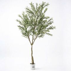 Cây ô liu giả cao 180 cm - thân nhựa tháo lắp linh hoạt