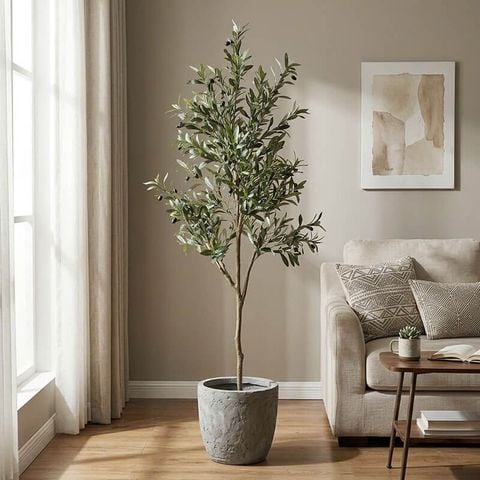 Cây ô liu giả trang trí dáng cao tán tự nhiên cao 180 cm