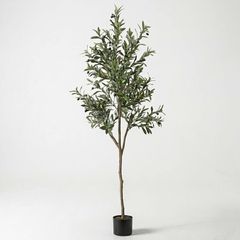 Cây ô liu giả trang trí dáng cao tán tự nhiên cao 180 cm