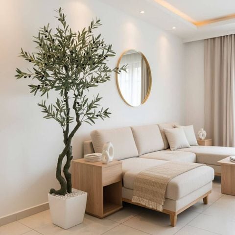 Cây ô liu giả dáng bonsai được dùng làm cây giả trang trí phòng khách hiện đại, đặt cạnh sofa màu be.